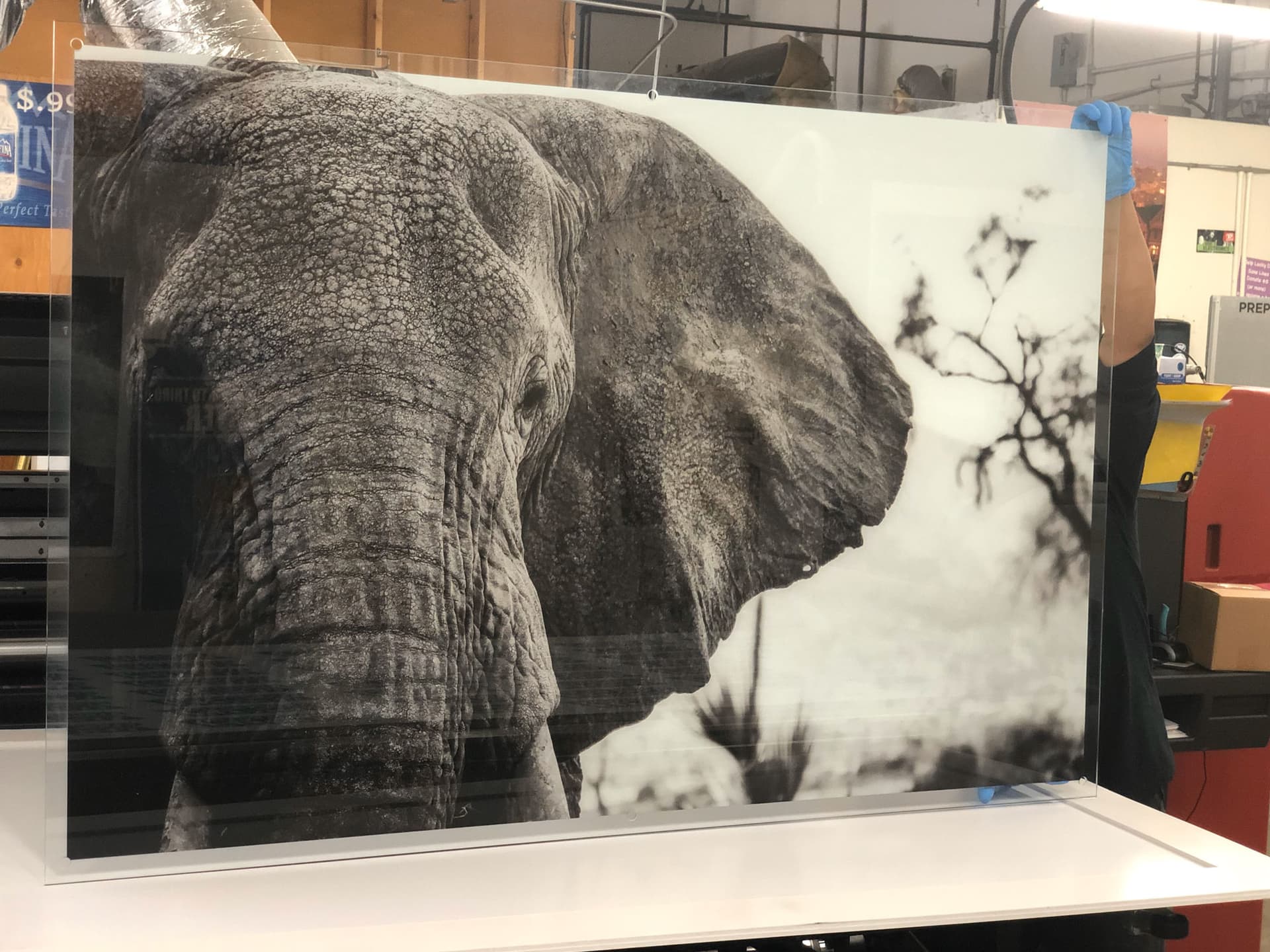 Fine-art giclée reproduction